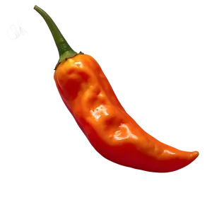 Habanero Chili Pepper Picture Png 06122024 PNG Image