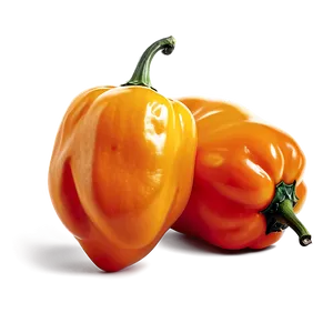 Habanero Heat Source Png 06282024 PNG Image