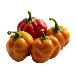 Habanero Pepper Harvest Png 06282024 PNG Image