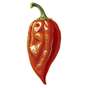 Habanero Pepper Slice Png Kce PNG Image