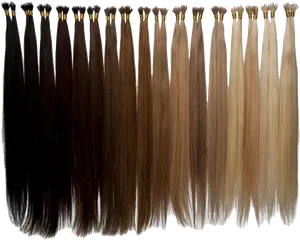 Hair Extensions Color Chart PNG Image