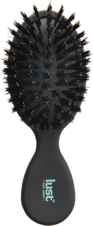 Hairbrushwith Black Handleand Bristles PNG Image