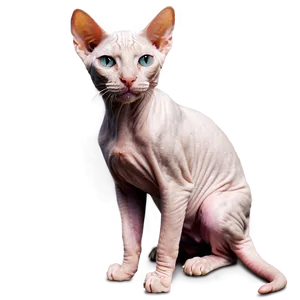 Hairless Cat Png 98 PNG Image