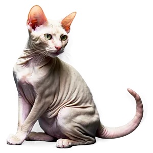 Hairless Cat Profile Png Vuu14 PNG Image