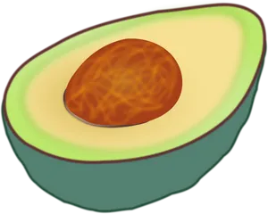 Half Avocado Illustration PNG Image