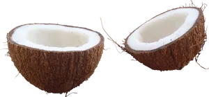 Halved Coconut Fresh White Meat PNG Image