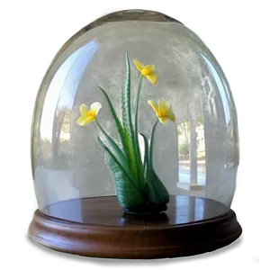 Hand Blown Glass Dome Png 16 PNG Image