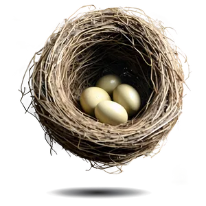 Hand Drawn Bird Nest Png Bcs18 PNG Image