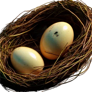 Hand Drawn Bird Nest Png Isd PNG Image