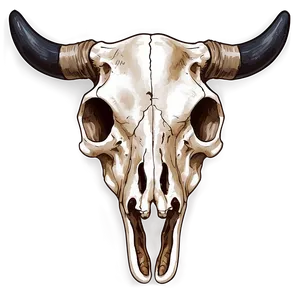 Hand-drawn Cow Skull Png Sps PNG Image