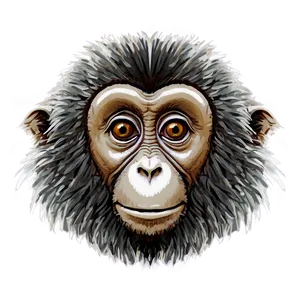 Hand Drawn Monkey Face Png 34 PNG Image