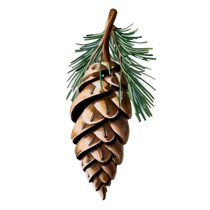 Hand Drawn Pine Cone Png Fxd PNG Image