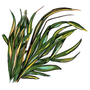 Hand Drawn Seagrass Png Ikq PNG Image