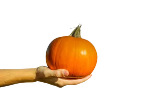 Hand Holding Orange Pumpkin Black Background PNG Image