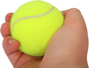 Hand Holding Tennis Ball_ Closeup.png PNG Image