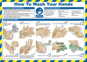 Hand Washing Procedure Infographic PNG Image