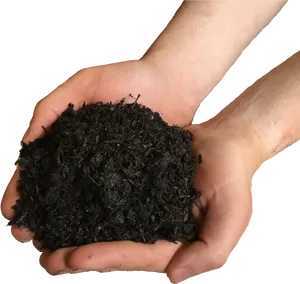 Handfulof Rich Soil PNG Image