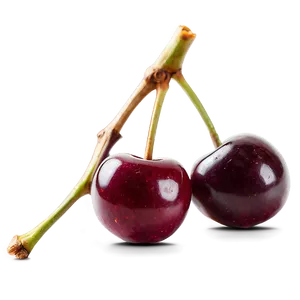 Handpicked Cherries Png Bkm PNG Image