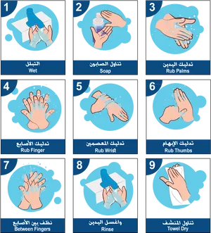 Handwashing Steps Illustration PNG Image