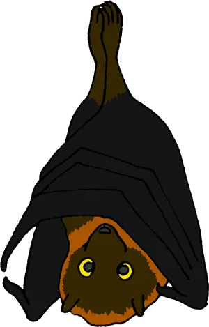 Hanging Bat Illustration PNG Image