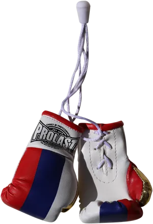 Hanging Boxing Gloves Provast PNG Image