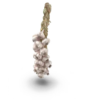 Hanging Garlic Braid PNG Image