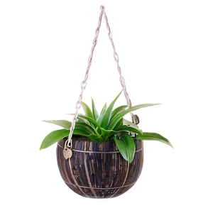 Hanging Indoor Plants Png Pki53 PNG Image