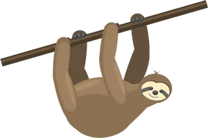 Hanging Sloth Cartoon PNG Image