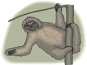 Hanging Sloth Cartoon Illustration PNG Image