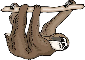 Hanging Sloth Cartoon Illustration PNG Image