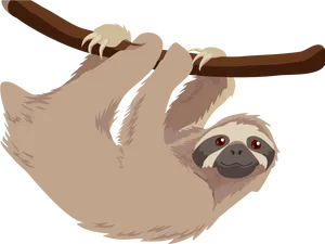 Hanging Sloth Cartoon PNG Image