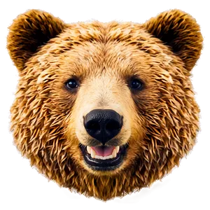 Happy Bear Face Graphic Png Aui PNG Image