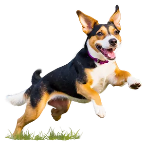 Happy Dog Running Png Iwj PNG Image