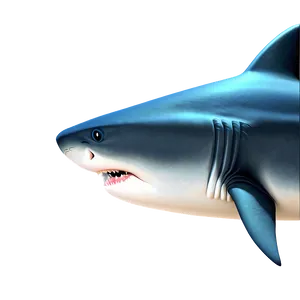 Happy Grandpa Shark Drawing Png Grm PNG Image