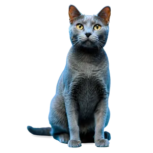 Happy Grey Cat Png 23 PNG Image