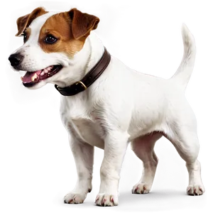 Happy Jack Russell Dog Png Xsy PNG Image