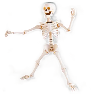 Happy Skeleton Dancing Png 34 PNG Image