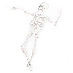 Happy Skeleton Dancing Png 83 PNG Image