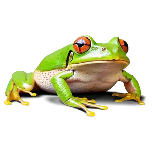 Happy Tree Frog Png Uwn46 PNG Image