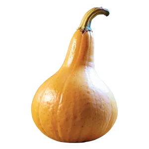 Harvest Gourd Png 06292024 PNG Image