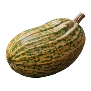 Harvest Gourd Png 06292024 PNG Image