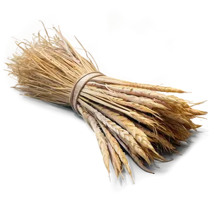 Harvested Trigo Sheaves Png Jho PNG Image