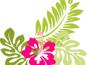 Hawaiian Hibiscus Floral Design PNG Image