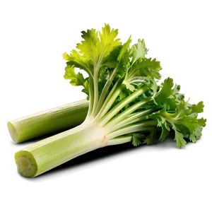 Healthy Celery Png Bgu PNG Image