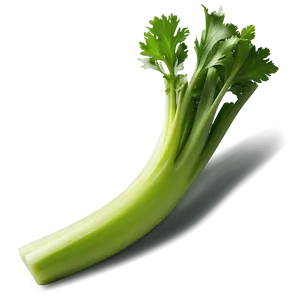 Healthy Celery Png Hwb98 PNG Image