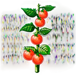 Healthy Tomato Plant Png Bne53 PNG Image