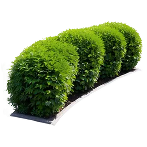 Hedge Shrubs Png 06122024 PNG Image