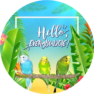 Hello Everybundgie Budgies Greeting PNG Image