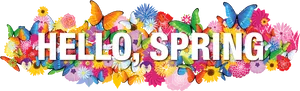 Hello Spring Colorful Floral Butterfly Design PNG Image