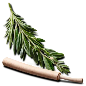 Herb B PNG Image